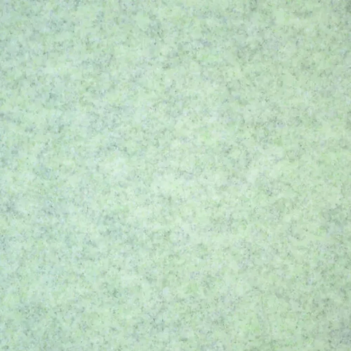 Winter mint