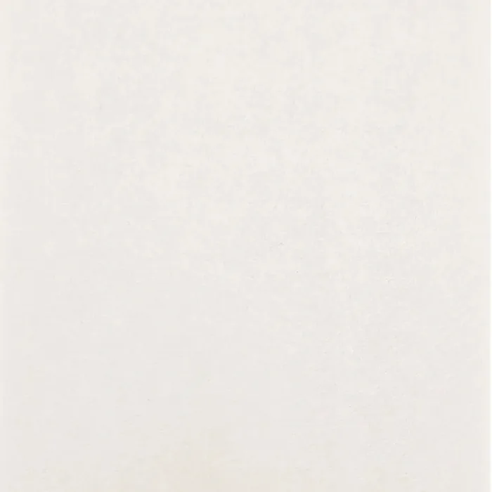 Arctic White