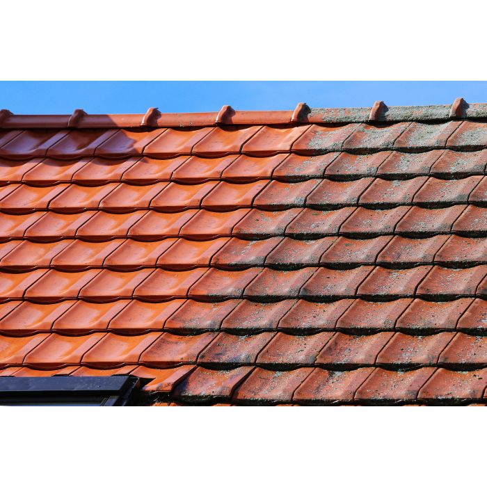 green_cleaner-green_cleaner-foto8-green_cleaner_dakpannen