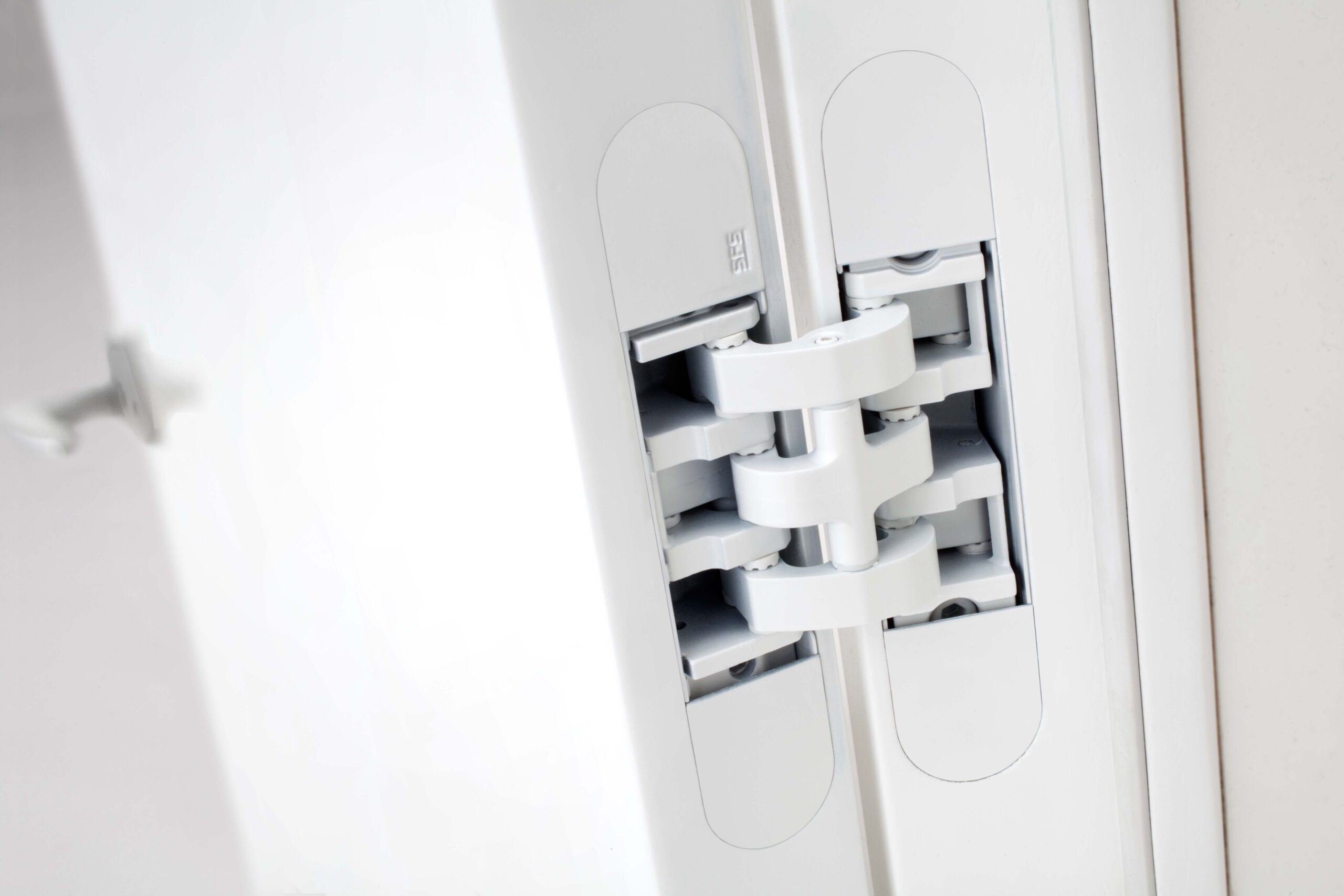 W-Tec3D+60_MG_9187-+_bianca