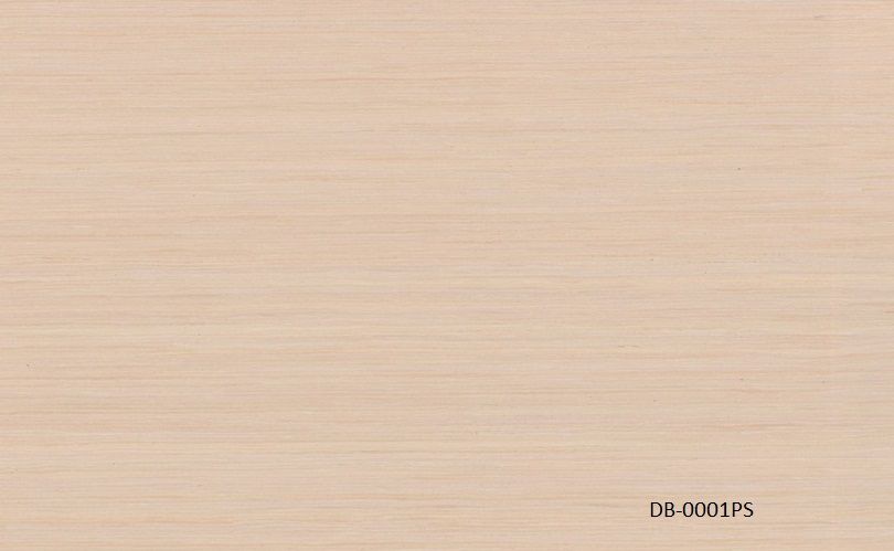 DB_0001PS